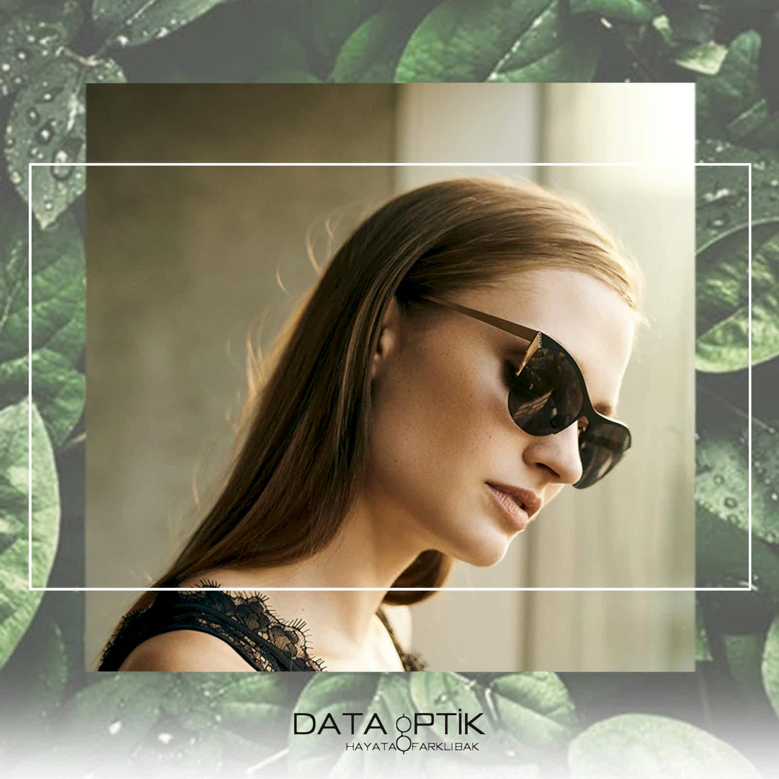 Data Optik